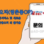 쌍촌동오피(쌍촌동OP)