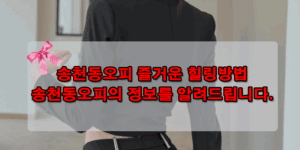 송천동오피